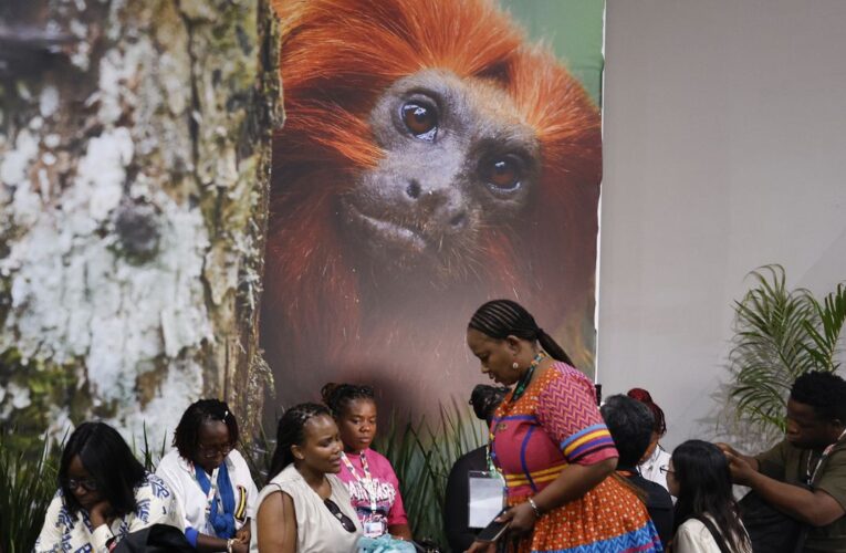 COP30: financiamento, transição e adaptação são centro das negociações
