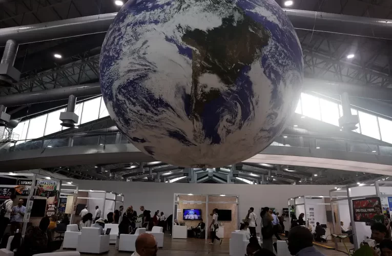 COP30: países amazônicos anunciam monitoramento conjunto da floresta