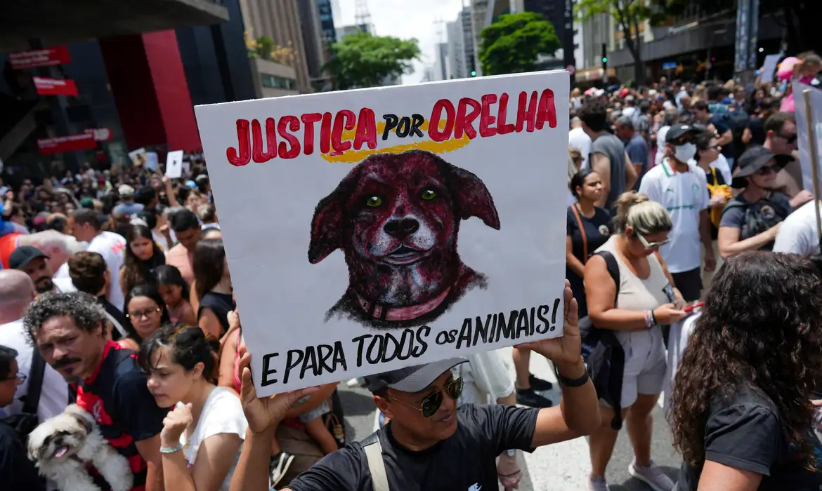 Caso Orelha, maus-tratos a animais, violência contra animais, Polícia Civil, Santa Catarina, internação de adolescente, cachorro Caramelo