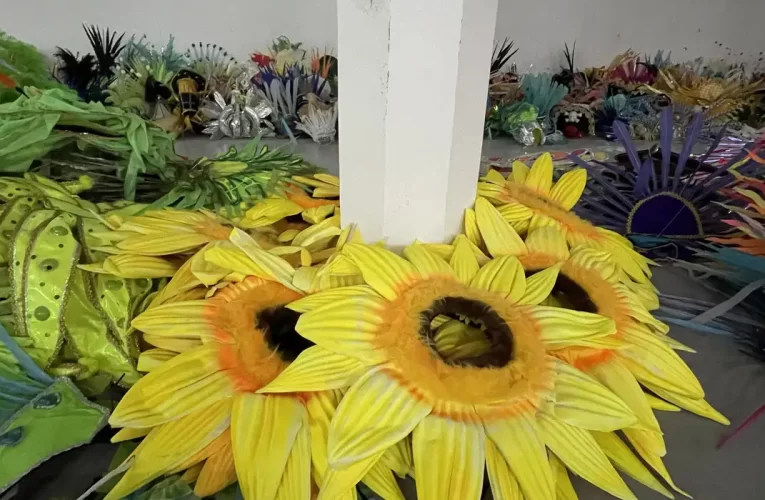 Projeto reaproveita fantasias da Sapucaí e reduz descarte no Carnaval