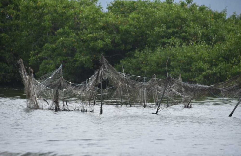 Maricá, pesca irregular, lagoas de Maricá, fiscalização ambiental, GEDAM, meio ambiente, pesca predatória, Guaratiba, São José de Imbassaí