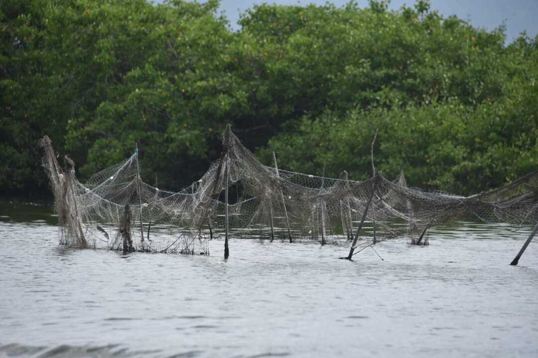 Maricá, pesca irregular, lagoas de Maricá, fiscalização ambiental, GEDAM, meio ambiente, pesca predatória, Guaratiba, São José de Imbassaí