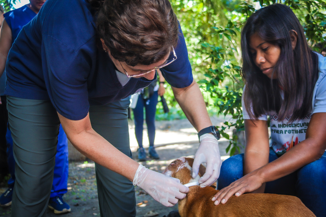 Maricá, saúde indígena, aldeia mata verde bonita, Fiocruz, bem-estar animal, zoonoses, vacinação antirrábica, saúde pública, São José do Imbassaí