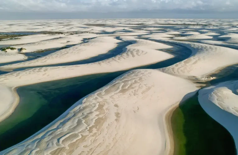 Unesco: Áreas protegidas são essenciais para o meio ambiente global