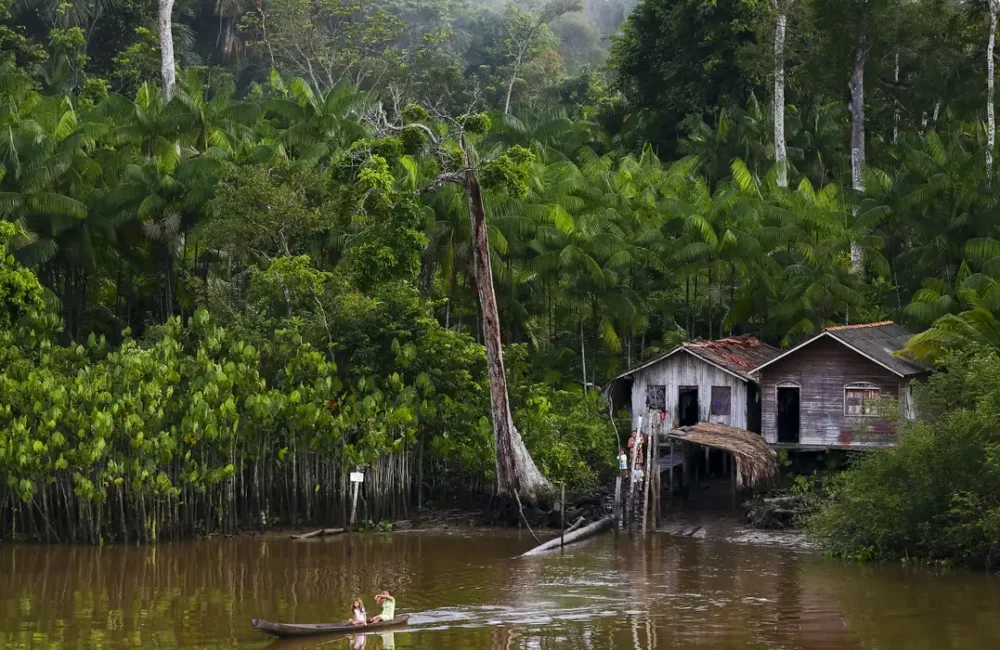Saúde, SUS, Amazônia, lobomicose, Proadi-SUS, Doença de Jorge Lobo