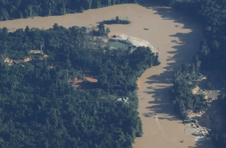 MPF denuncia mineração ilegal e uso de mercúrio na Amazônia à CIDH