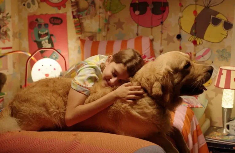 BIFF 2026 divulga programação e filmes selecionados