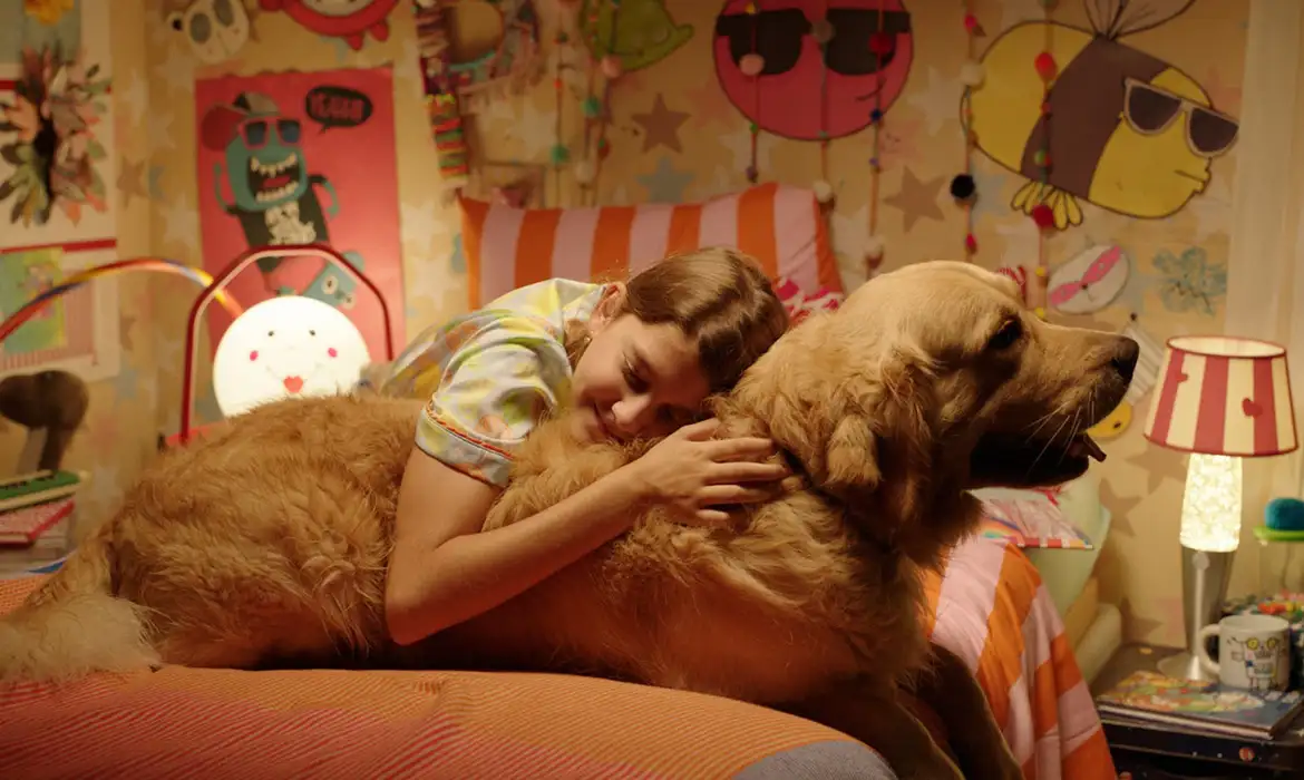 BIFF 2026, festival de cinema Brasília, programação BIFF, cinema brasileiro, Cine Brasília, filmes selecionados, cultura, mostra competitiva