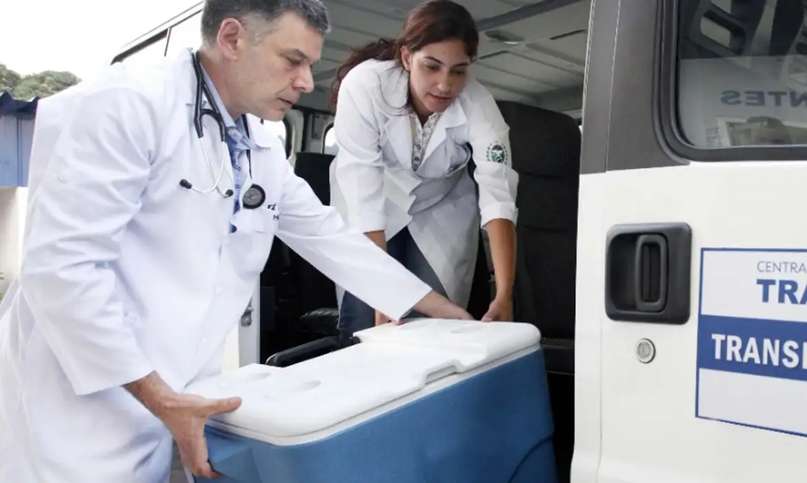 Saúde, Transplantes, SUS, Ministério da Saúde, Doação de Órgãos, Recorde