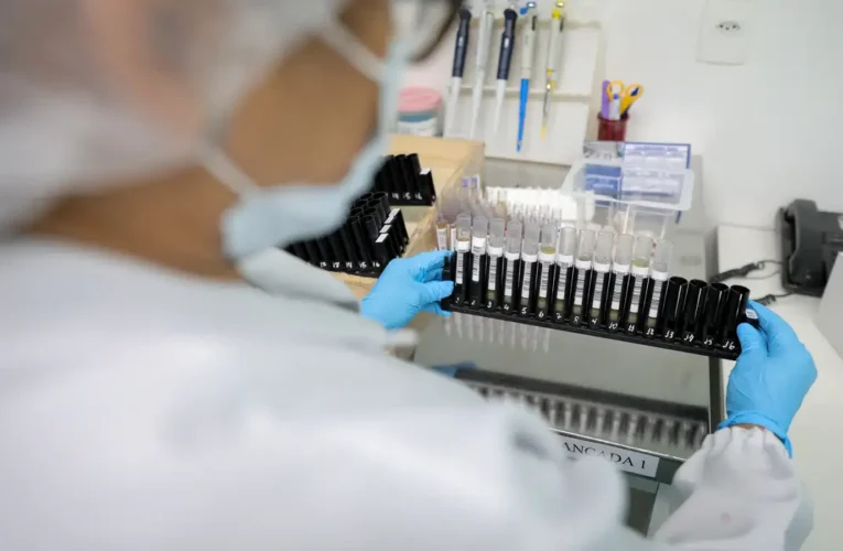 Fiocruz obtém patente nos EUA para tratamento de malária resistente