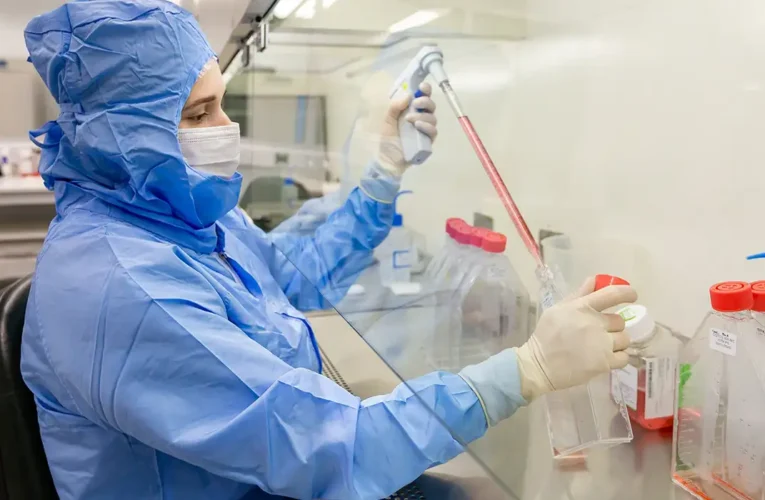 PUCPR desenvolve terapia inédita contra doença do enxerto após transplante