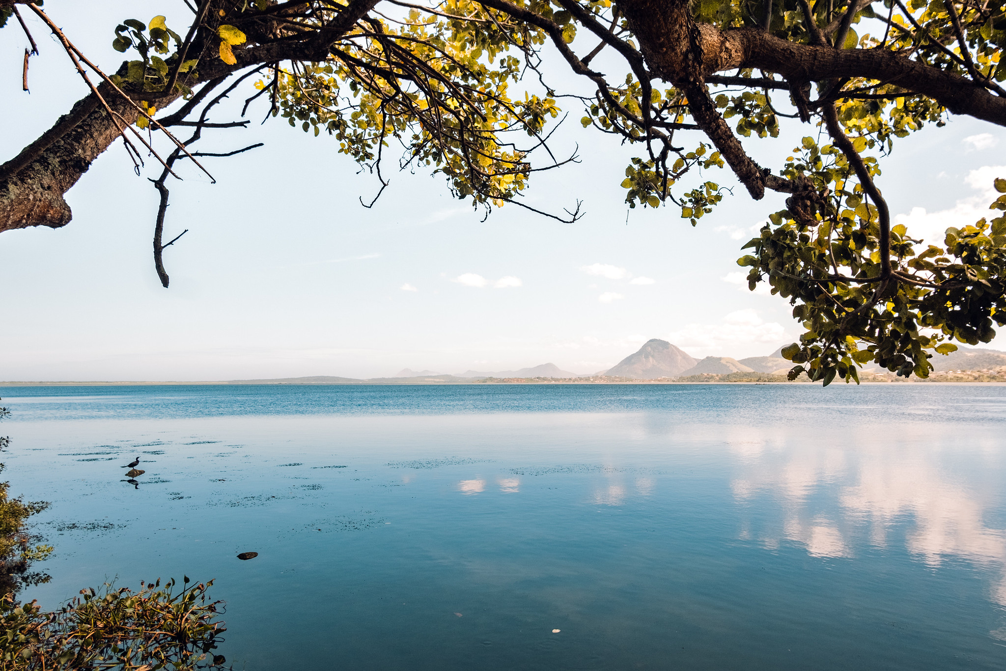 Prefeitura de Maricá atua para minimizar odor na Lagoa de Araçatiba