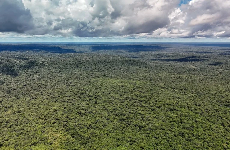 Cientistas alertam que o desmatamento na Amazônia ameaça a formação de chuvas no continente
