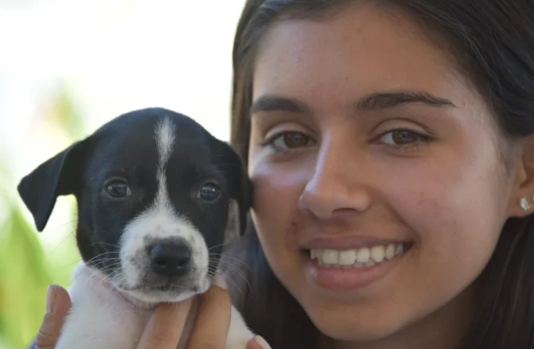 Prefeitura de Maricá abre ponto de adoção de cães e gatos no Shopping Boulevard