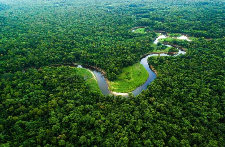 Amazônia registra menor desmatamento em 41 anos, com 693 mil hectares em 2025