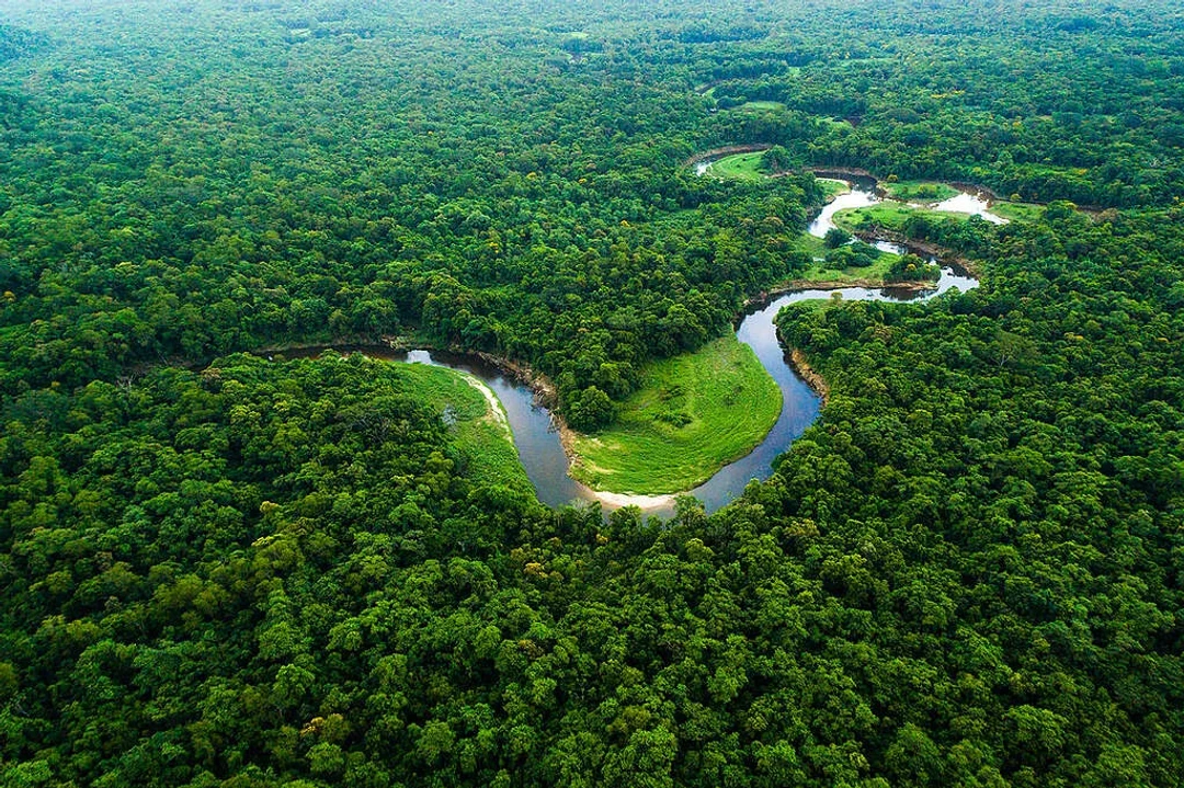 Mapa da Amazônia Legal mostrando a redução do desmatamento para 693 mil hectares em 2025